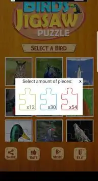Birds Jigsaw Puzzle Screen Shot 1