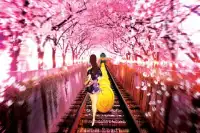 Subway Sakura Dash Screen Shot 0