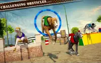 Dog Race & Stunts 2016 Screen Shot 5