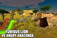 Furious Lion Vs Angry Anaconda Snake Screen Shot 4