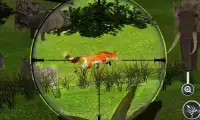 động vật rừng hoang dã săn bắn Screen Shot 1