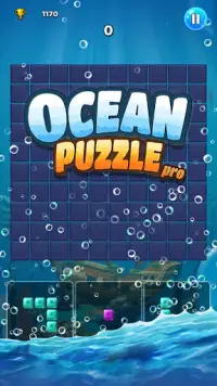 Ocean Puzzle Pro - 1010 Screen Shot 4