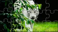 Biały Tygrys Puzzle Gry Screen Shot 0