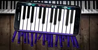 Real Organ Piano & Professional Piano Screen Shot 0