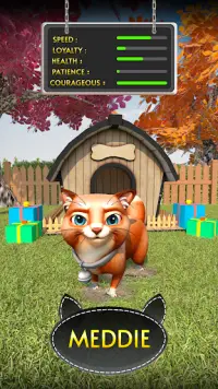 Cat Simulator Pet Cat Games Screen Shot 3