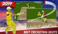 World Cricket Fever 2019 Screen Shot 3
