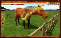 Horse Show Jumping Challenge Screen Shot 8
