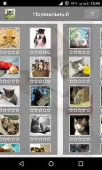 Пазлы коты,кошки (пятнашки) Screen Shot 1