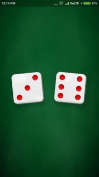 backgammon dice 🎲: precision dice Screen Shot 1