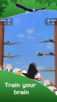 Sort Birds - Puzzle Color 3D Screen Shot 0