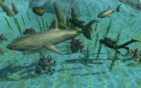 Shark  World Simulator Hungry Attack Screen Shot 3