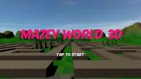 Mazey World 3D - Maze Game Screen Shot 0
