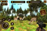 Deer hunter shooter Screen Shot 2