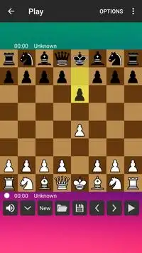King Chess Game Screen Shot 1
