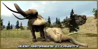Wild Elephant Hunter Screen Shot 0