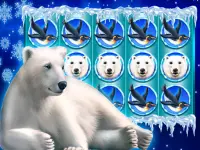 Polar Bear: Free Slots Casino Screen Shot 4