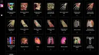 Anatomy Learning - Atlas d'anatomie 3D Screen Shot 8