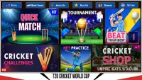 Cricket Champions Cricket Game Screen Shot 3