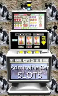 Admirable Cat Slots - Free Screen Shot 0