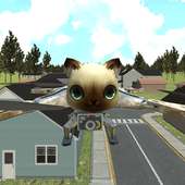 Chat drone vol sim sim