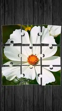 Fleurs Jeu de Puzzle Screen Shot 0