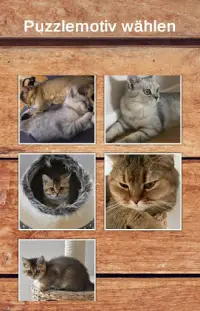 猫のパズル Screen Shot 1
