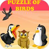 Puzzle of Birds- Logic Game