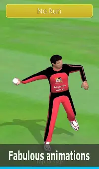 Smashing Cricket: cricket game Screen Shot 11
