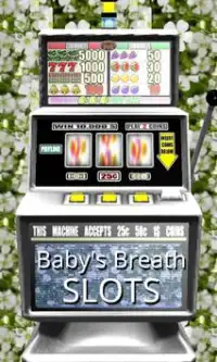 3D Baby's Breath Slots - Free Screen Shot 0