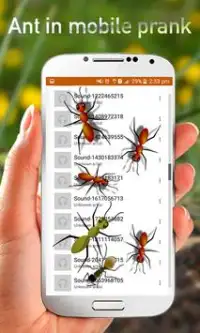 Ants in Mobile Prank Screen Shot 3