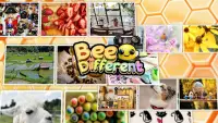 Encuentra la diferencia juego - Bee The Different Screen Shot 0