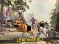 Hund Welpen Zombie Simulator Screen Shot 3