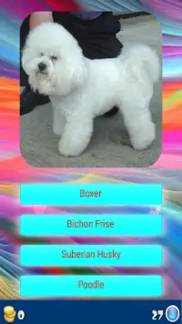 Dog Breeds - Know your Dog Screen Shot 1