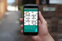 Sudoku Number Puzzle Screen Shot 3