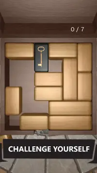 Unblock 3D Puzzle Screen Shot 1