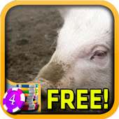 3D Pig Slots - Free