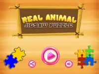 Animal Jigsaw Puzzles DayCare Screen Shot 0