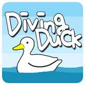다이빙덕(Diving Duck)