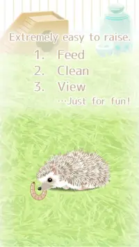 Hedgehog Pet Screen Shot 1