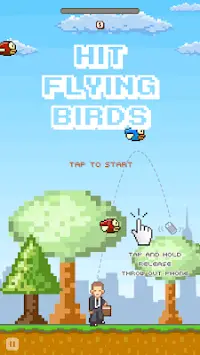 Hit Flying Birds Screen Shot 0