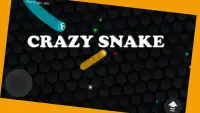 Crazy Snake - Slither Game Screen Shot 4