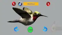 Birds 3D Screen Shot 0