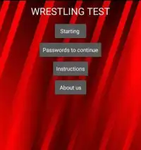 Wrestling Test Screen Shot 2