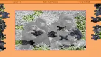 동물 퍼즐 - 정글 Screen Shot 4