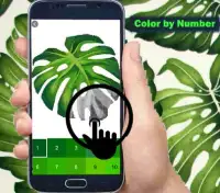 Monstera Color By Number-Plants Pixel Art Screen Shot 2