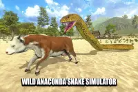 Wild Anaconda Snake Attack 3D Screen Shot 3