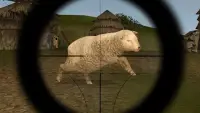 Crazy Animal Sniper Hunting Screen Shot 2