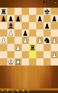 체스 Screen Shot 6