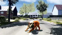 Simulateur de chien de taureau Screen Shot 2