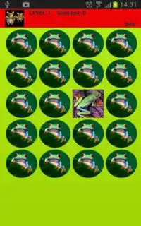 Colorful Frogs Memory Game Screen Shot 1